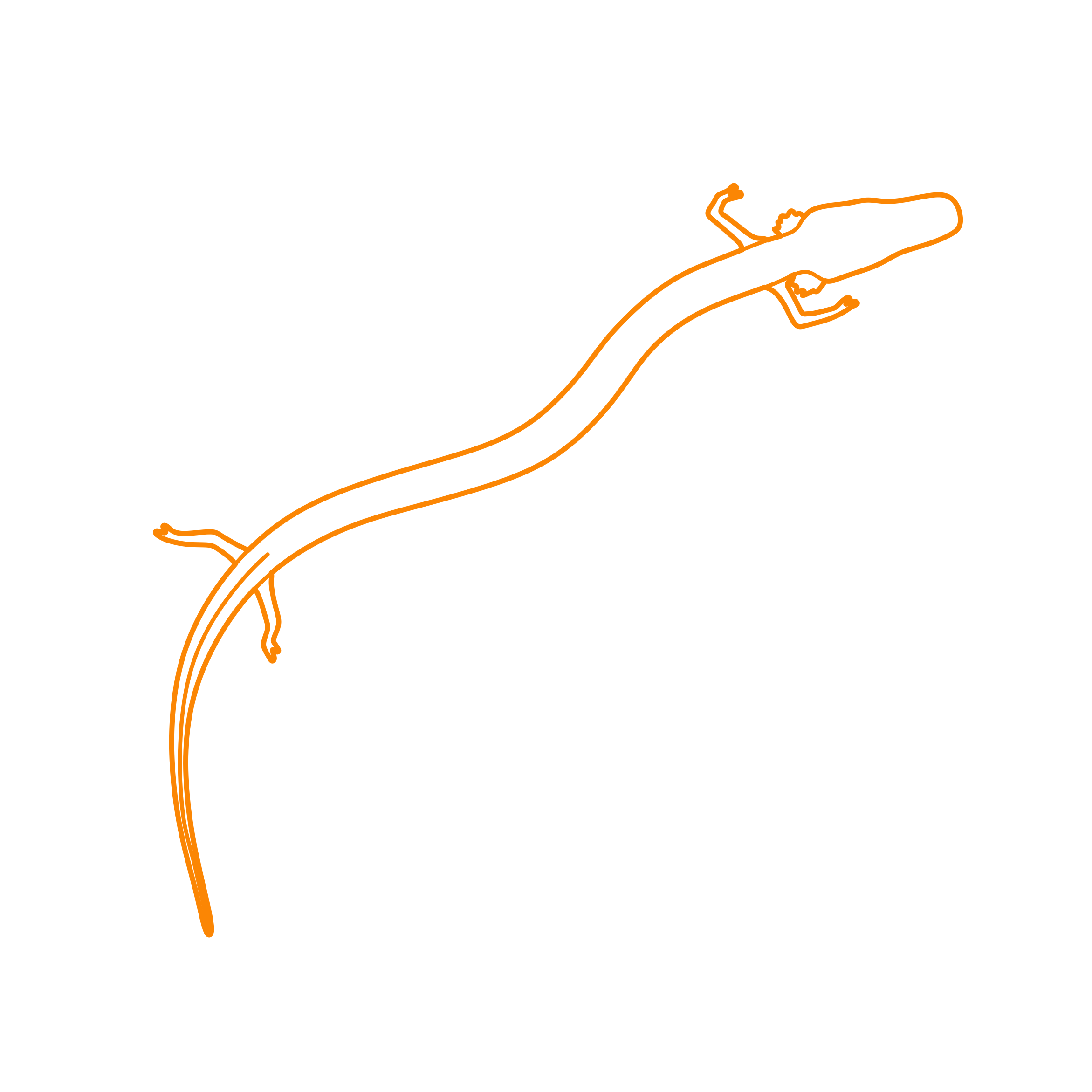 Animals Salamanders Olm Proteus Vinyl Cutting Svg File Free Vectors